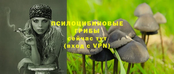 дживик Медногорск