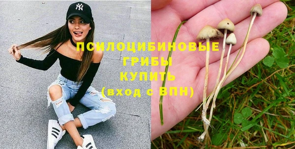 марки nbome Медвежьегорск