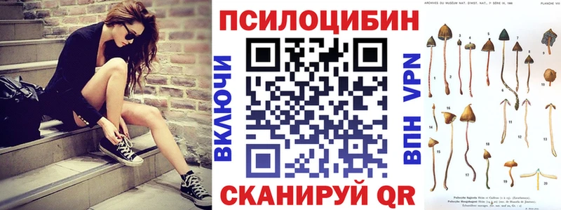купить  сайты  Гусиноозёрск  Галлюциногенные грибы мицелий 