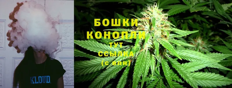 Марихуана White Widow  Гусиноозёрск 